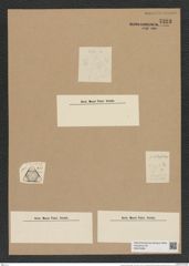 Triceratium alternans Bail. (de-Toni-Nr.: Genus 140, Species 3823) Zeichnungen Sammlung Grunow Nr. 7323 (NHMW-BOT-W0376365)